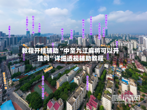 教程开挂辅助“中至九江麻将可以开挂吗”详细透视辅助教程-第2张图片