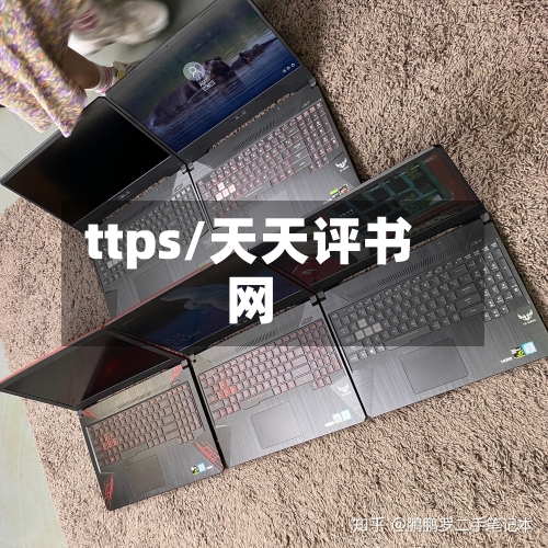 ttps/天天评书网-第2张图片
