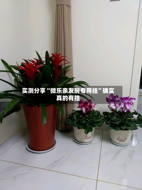 实测分享“微乐亲友房专用挂	”确实真的有挂-第1张图片