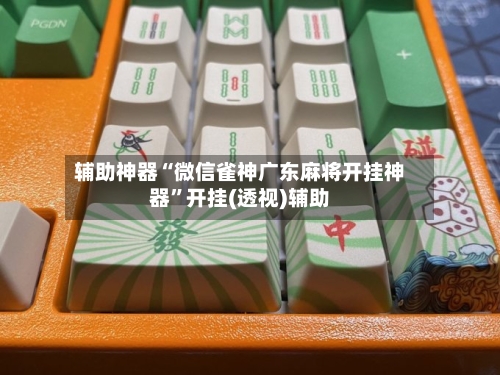 辅助神器“微信雀神广东麻将开挂神器”开挂(透视)辅助-第2张图片