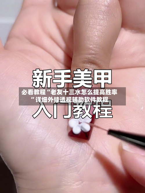 必看教程“老友十三水怎么提高胜率	”详细外挂透视辅助软件教程-第3张图片