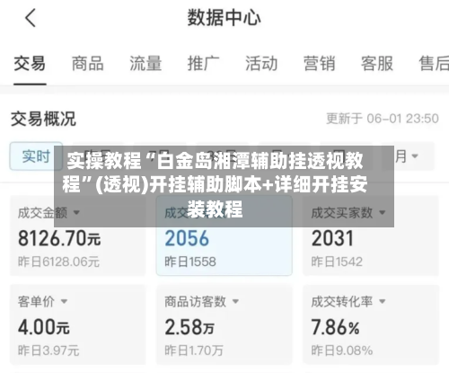 实操教程“白金岛湘潭辅助挂透视教程”(透视)开挂辅助脚本+详细开挂安装教程-第2张图片
