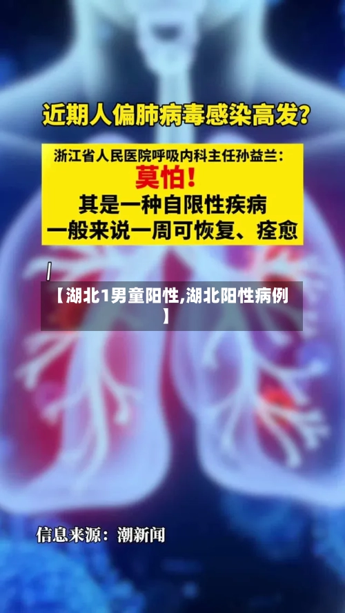 【湖北1男童阳性,湖北阳性病例】-第2张图片