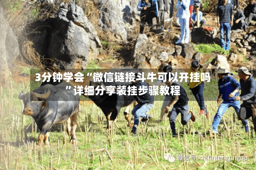 3分钟学会“微信链接斗牛可以开挂吗”详细分享装挂步骤教程-第3张图片