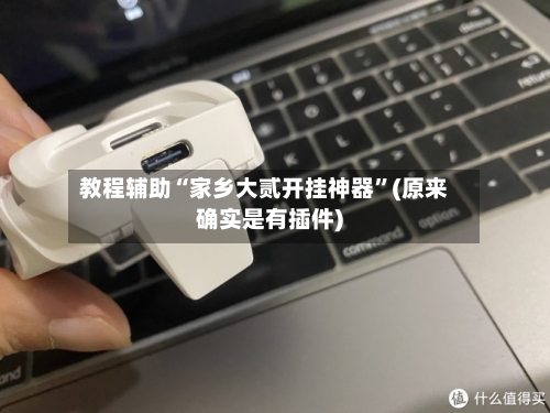 教程辅助“家乡大贰开挂神器	”(原来确实是有插件)-第1张图片