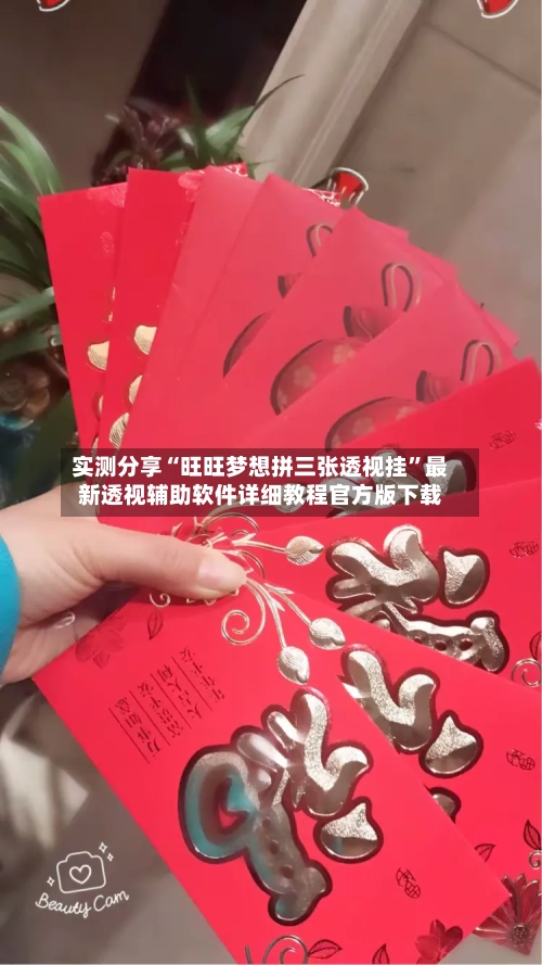 实测分享“旺旺梦想拼三张透视挂”最新透视辅助软件详细教程官方版下载-第3张图片