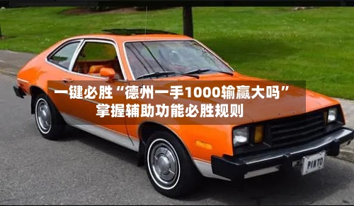 一键必胜“德州一手1000输赢大吗”掌握辅助功能必胜规则-第1张图片