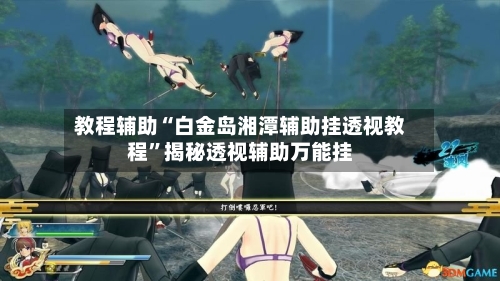 教程辅助“白金岛湘潭辅助挂透视教程”揭秘透视辅助万能挂-第3张图片