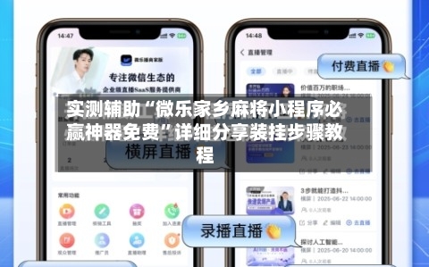 实测辅助“微乐家乡麻将小程序必赢神器免费	”详细分享装挂步骤教程-第2张图片
