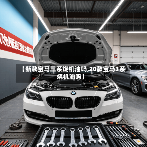 【新款宝马三系烧机油吗,20款宝马3系烧机油吗】-第2张图片