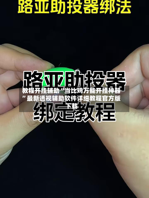教程开挂辅助“当比鸡万能开挂神器”最新透视辅助软件详细教程官方版下载-第1张图片