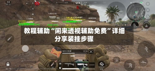 教程辅助“闲来透视辅助免费”详细分享装挂步骤-第3张图片