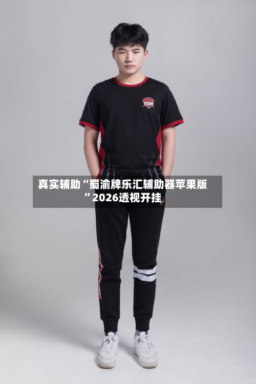 真实辅助“蜀渝牌乐汇辅助器苹果版”2026透视开挂-第2张图片