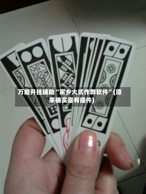 万能开挂辅助“家乡大贰作弊软件”(原来确实是有插件)-第3张图片