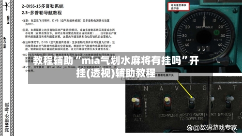 教程辅助“mia气划水麻将有挂吗	”开挂(透视)辅助教程-第1张图片