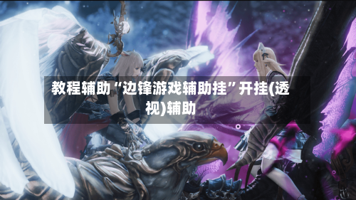 教程辅助“边锋游戏辅助挂”开挂(透视)辅助-第1张图片