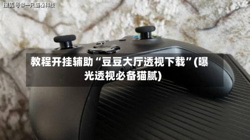 教程开挂辅助“豆豆大厅透视下载”(曝光透视必备猫腻)-第1张图片