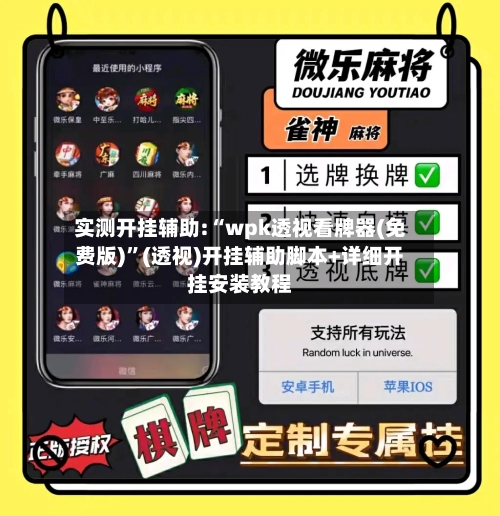 实测开挂辅助:“wpk透视看牌器(免费版)”(透视)开挂辅助脚本+详细开挂安装教程-第1张图片