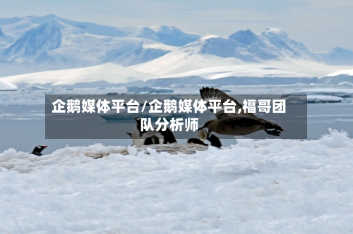 企鹅媒体平台/企鹅媒体平台,福哥团队分析师-第1张图片