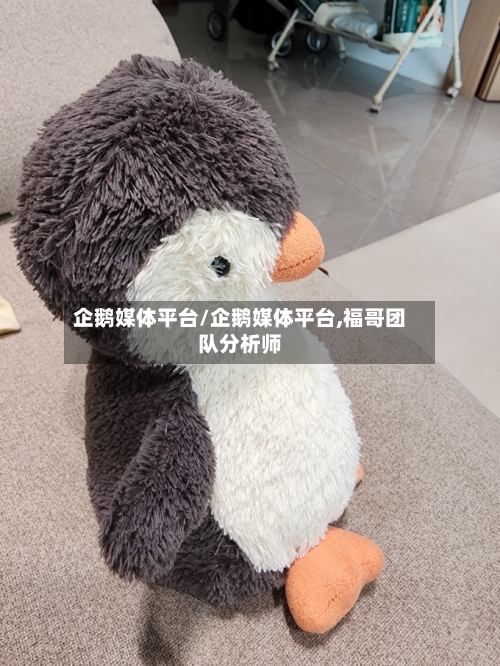 企鹅媒体平台/企鹅媒体平台,福哥团队分析师-第2张图片