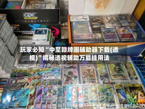 玩家必知“中至赣牌圈辅助器下载(透视)”揭秘透视辅助万能挂用法-第1张图片