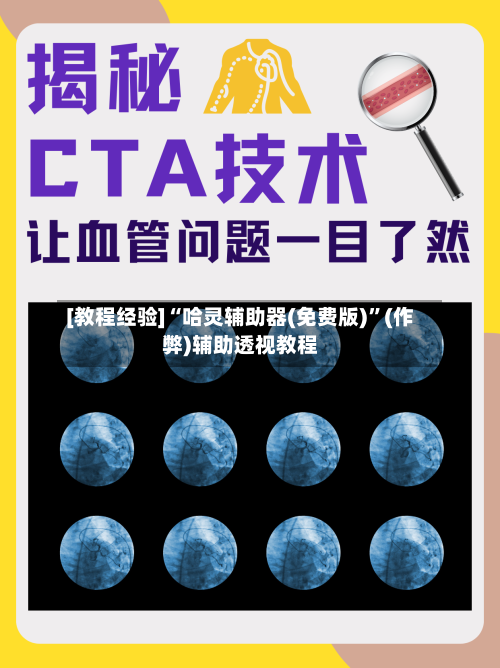 [教程经验]“哈灵辅助器(免费版)	”(作弊)辅助透视教程-第1张图片