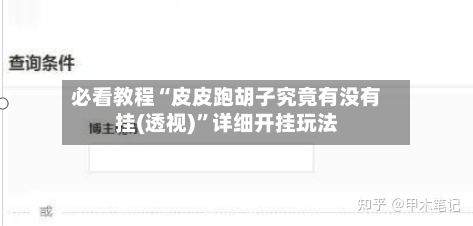 必看教程“皮皮跑胡子究竟有没有挂(透视)”详细开挂玩法-第1张图片