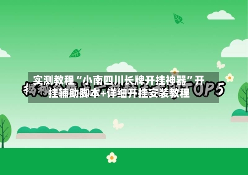 实测教程“小南四川长牌开挂神器”开挂辅助脚本+详细开挂安装教程-第1张图片