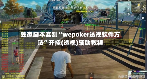 独家脚本实测“wepoker透视软件方法”开挂(透视)辅助教程-第2张图片
