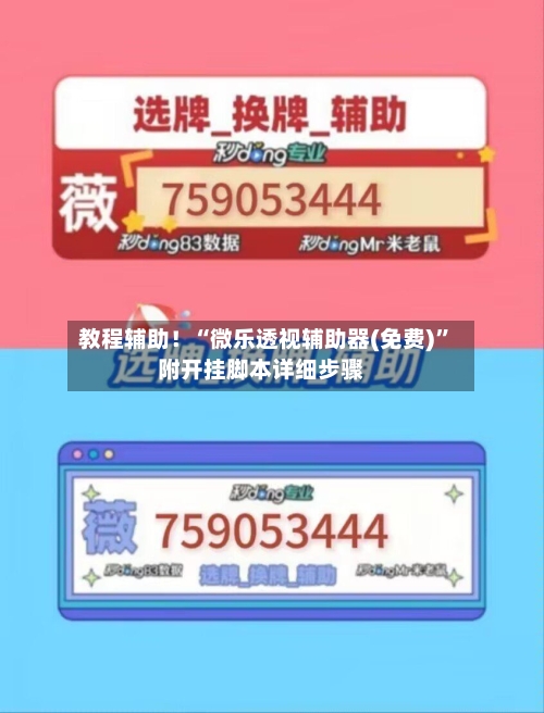 教程辅助！“微乐透视辅助器(免费)”附开挂脚本详细步骤-第1张图片