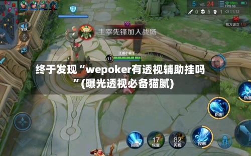 终于发现“wepoker有透视辅助挂吗	”(曝光透视必备猫腻)-第2张图片