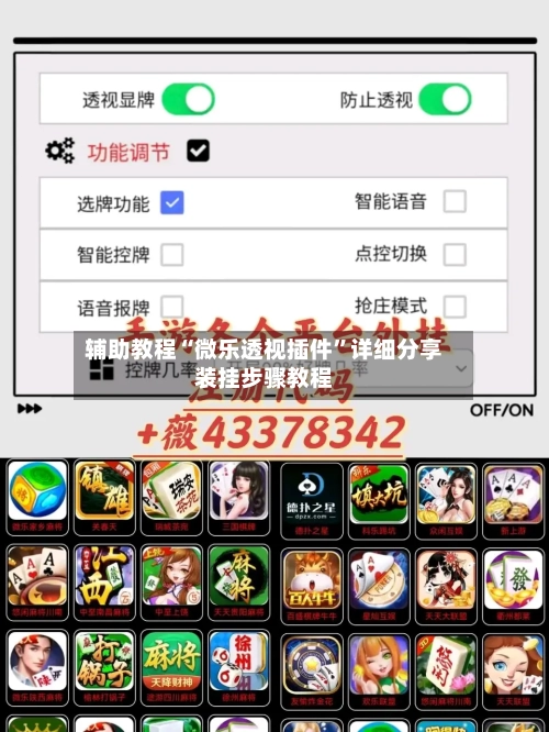 辅助教程“微乐透视插件”详细分享装挂步骤教程-第2张图片