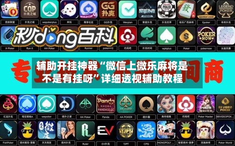 辅助开挂神器“微信上微乐麻将是不是有挂呀”详细透视辅助教程-第3张图片