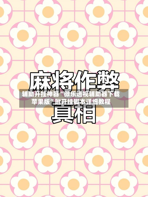 辅助开挂神器“微乐透视辅助器下载苹果版”附开挂脚本详细教程-第2张图片