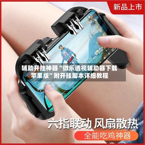 辅助开挂神器“微乐透视辅助器下载苹果版”附开挂脚本详细教程-第3张图片