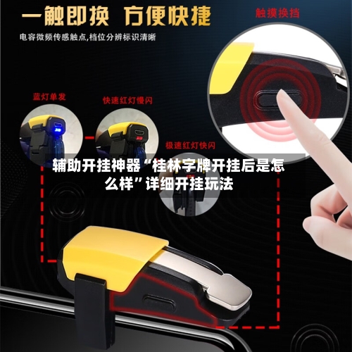 辅助开挂神器“桂林字牌开挂后是怎么样”详细开挂玩法-第3张图片