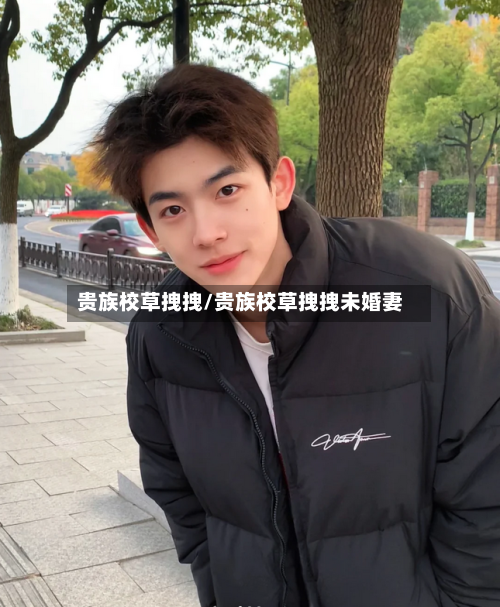 贵族校草拽拽/贵族校草拽拽未婚妻-第2张图片