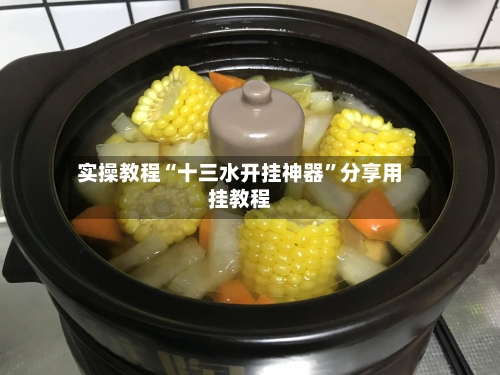 实操教程“十三水开挂神器”分享用挂教程-第2张图片