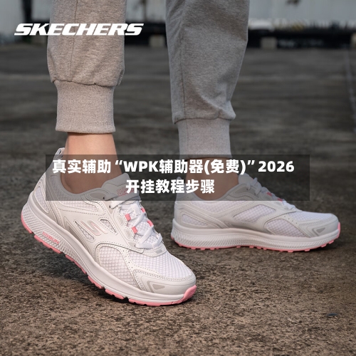 真实辅助“WPK辅助器(免费)	”2026开挂教程步骤-第2张图片