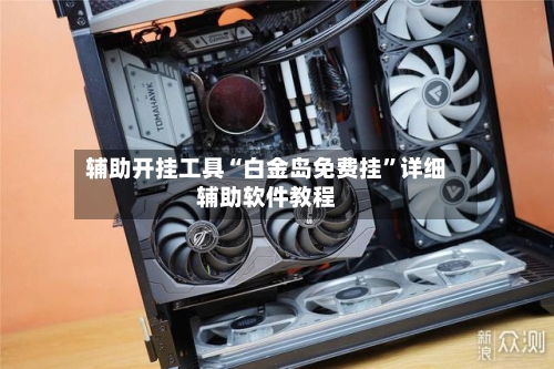 辅助开挂工具“白金岛免费挂	”详细辅助软件教程-第1张图片