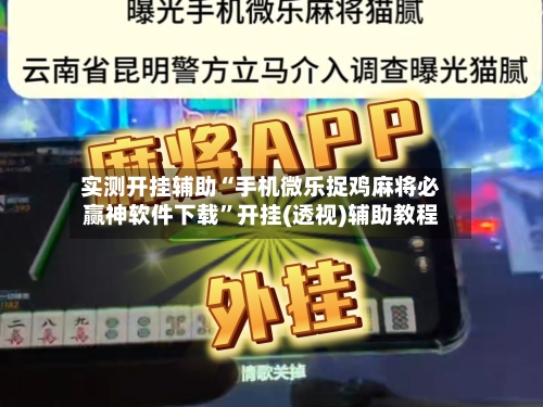 实测开挂辅助“手机微乐捉鸡麻将必赢神软件下载”开挂(透视)辅助教程-第3张图片