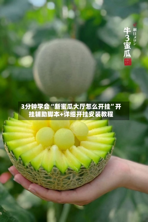 3分钟学会“新蜜瓜大厅怎么开挂	”开挂辅助脚本+详细开挂安装教程-第2张图片