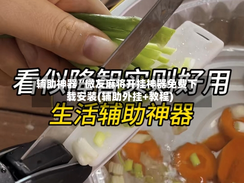 辅助神器“微友麻将开挂神器免费下载安装(辅助外挂+教程)-第3张图片