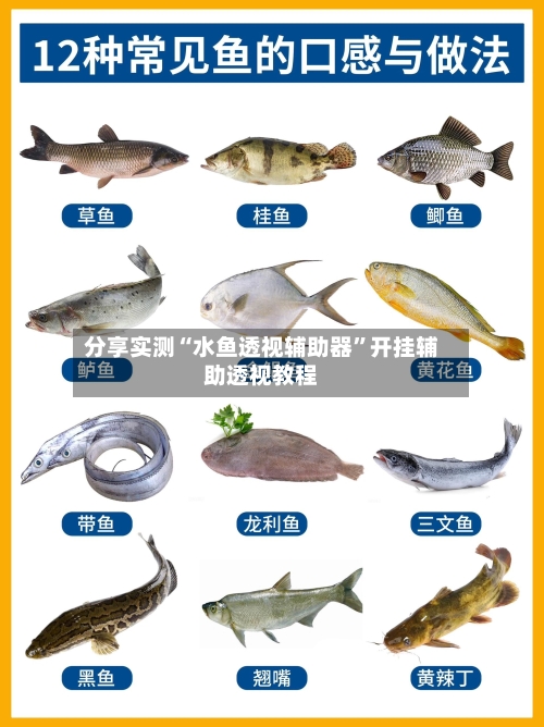 分享实测“水鱼透视辅助器	”开挂辅助透视教程-第2张图片