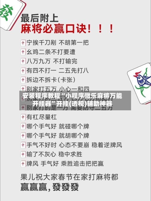 安装程序教程“小程序微乐麻将万能开挂器	”开挂(透视)辅助神器-第3张图片