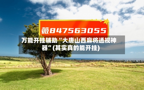 万能开挂辅助“大唐山西麻将透视神器”(其实真的能开挂)-第2张图片