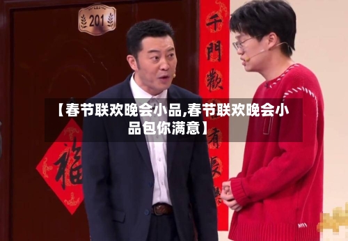 【春节联欢晚会小品,春节联欢晚会小品包你满意】-第1张图片
