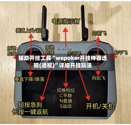 辅助开挂工具“wepoker开挂神器透视(透视)”详细开挂玩法-第2张图片