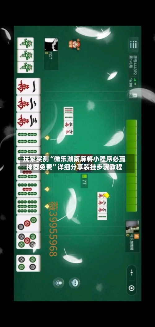 玩家实测“微乐湖南麻将小程序必赢神器免费	”详细分享装挂步骤教程-第1张图片