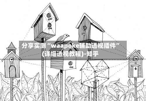 分享实测“waapoke辅助透视插件	”(详细透视教程)-知乎-第1张图片